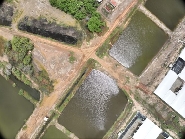 Drone, Topografo, topografia, cartografia, mastergeo topografia, mavic 3